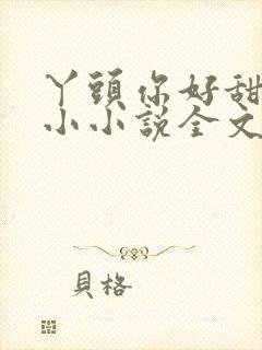 丫头你好甜慕小小小说全文免费阅读封面