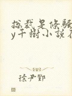 总裁是条骚狗by千树小说在线阅读最新封面