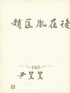 赵匡胤在后晋封面