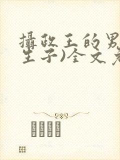 摄政王的男妃(生子)全文免费阅读