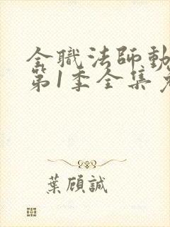 全职法师动画片第1季全集免费观看