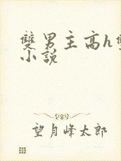 双男主高h双性小说封面