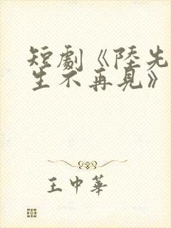 短剧《陆先生余生不再见》