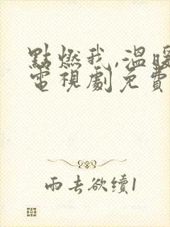 点燃我,温暖你电视剧免费观看软件