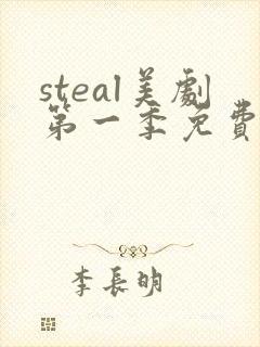 steal美剧第一季免费观看