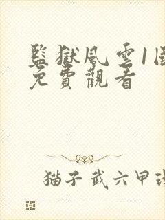 监狱风云1国语免费观看封面