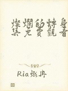 灿烂的转身29集免费观看