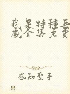 我是特种兵电视剧全集免费观看