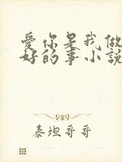 爱你是我做过最好的事小说全文免费