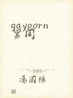 gayporn男同