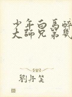 少年白马醉春风大师兄第几集出现的