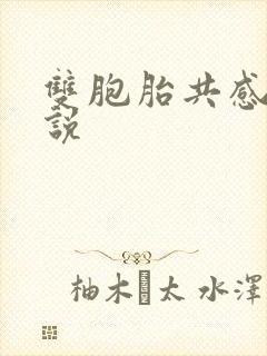 双胞胎共感的小说