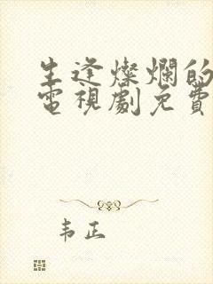 生逢灿烂的日子电视剧免费在线观看