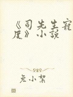 《司先生宠妻无度》小说