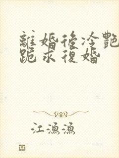 离婚后冷艳总裁跪求复婚