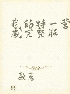 我的特一营电视剧完整版