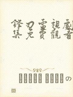 锋刃电视剧42集免费观看全集封面