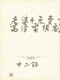 老婆4免费完整高清电视剧在线观看