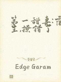 第一甜妻:霍先生,撩错了