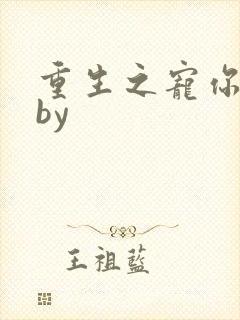 重生之宠你不够by封面