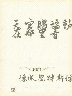 天官赐福动画片在哪里看