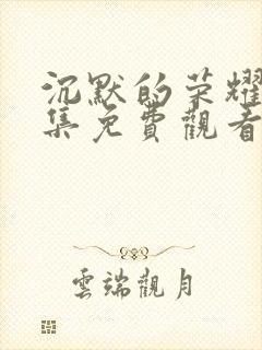 沉默的荣耀40集免费观看完整版