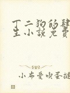 丁二狗的肆意人生小说免费听书