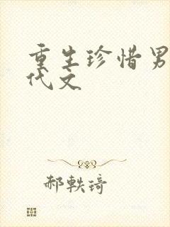 重生珍惜男主年代文