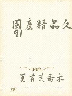 国产精品久久久 91