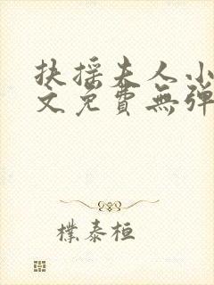 扶摇夫人小说全文免费无弹窗