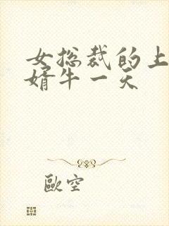 女总裁的上门女婿牛一天封面