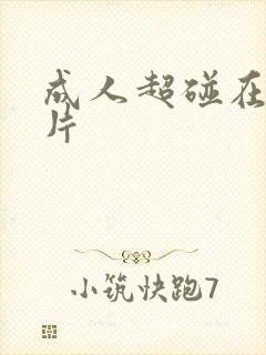 成人超碰在线毛片