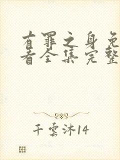 有罪之身免费观看全集完整版高清封面