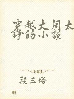 穿越大周太子周铮的小说