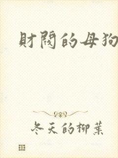 财阀的母狗们