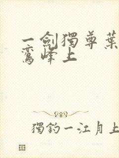 一剑独尊叶玄青鸾峰上