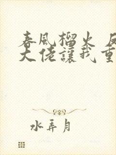 春风榴火 反派大佬让我重生后救他封面