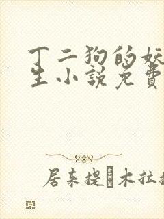 丁二狗的妖孽人生小说免费阅读