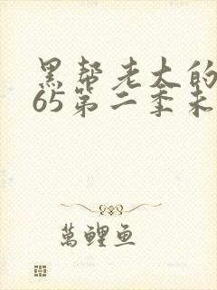 黑帮老大的我365第二季未删减版封面