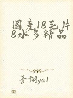 国产18毛片18水多精品