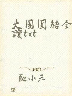 大团圆结全文阅读txt