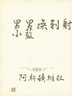 男男操到射文章小蓝