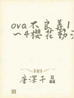 ova不良义1～4樱花动漫