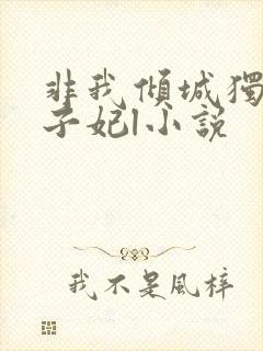 非我倾城独宠太子妃l小说