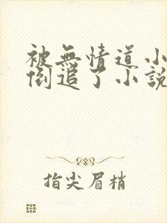 被无情道小师弟倒追了小说txt