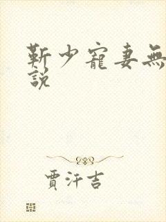 靳少宠妻无度小说