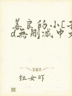 善良的小[子hd无删减中文封面