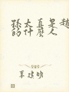 孙太真是赵匡胤的什么人