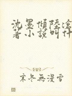 沈墨倾陆沧鸣原著小说叫什么