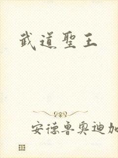 武道圣王